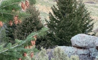 TBD Heritage Trail, Livingston MT 59047