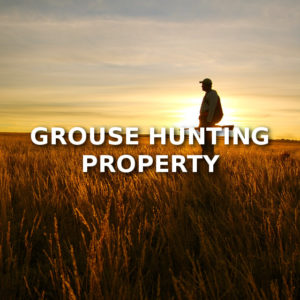 Grouse Hunting Property