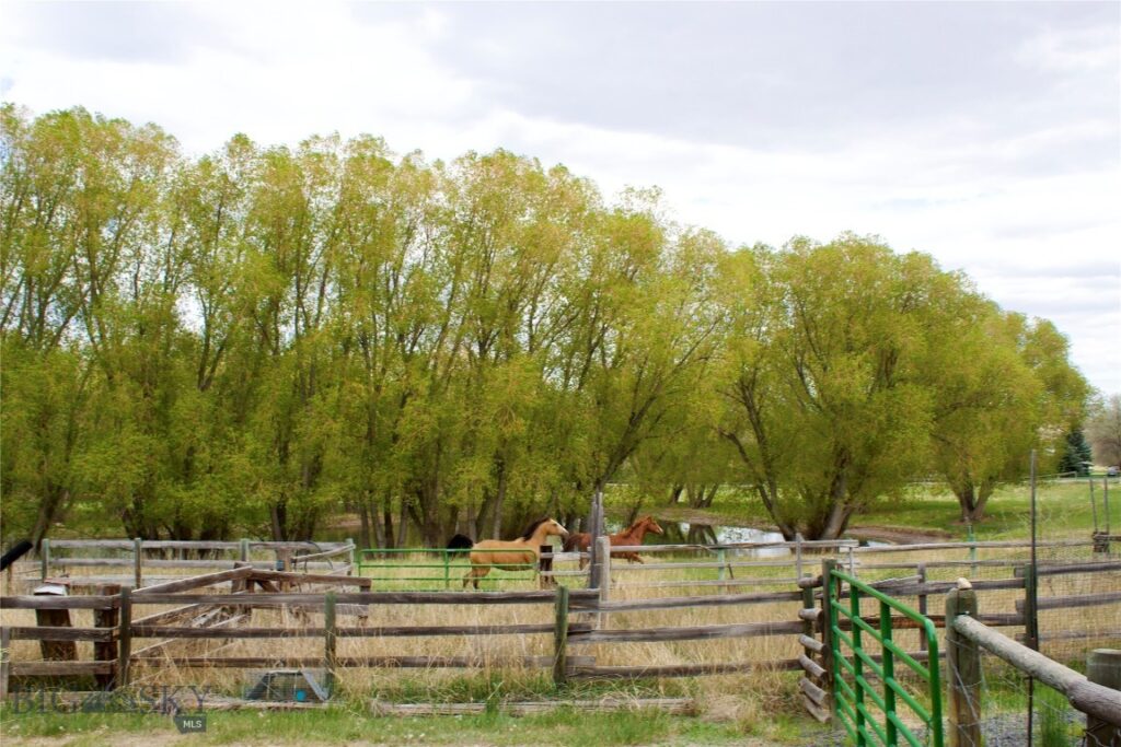 , Whitehall MT 59759