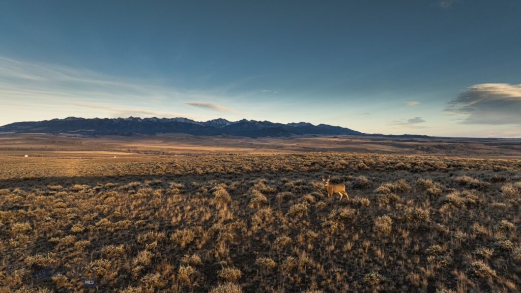 TBD Shy rd, Wilsall MT 59086