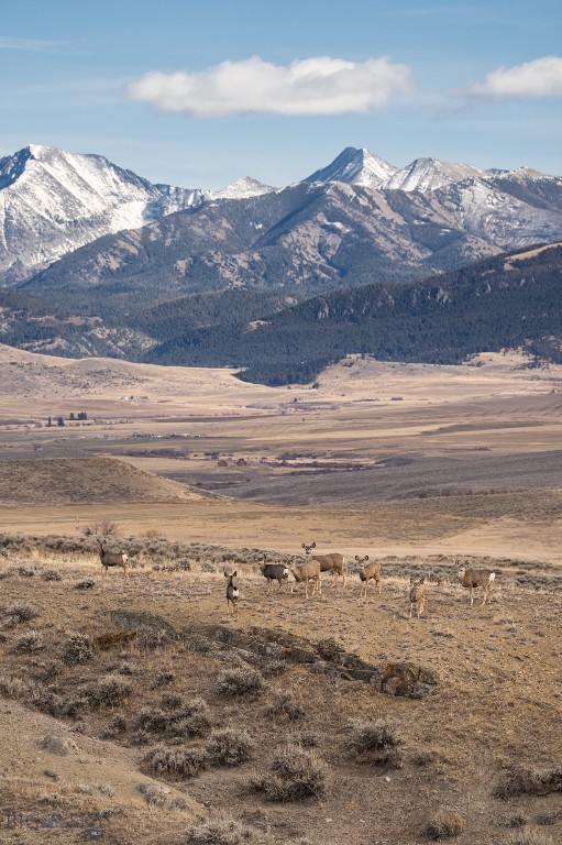 TBD Shy rd, Wilsall MT 59086