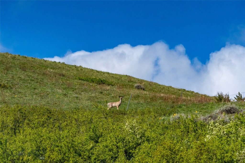 TBD US Highway 10 W, Livingston MT 59047