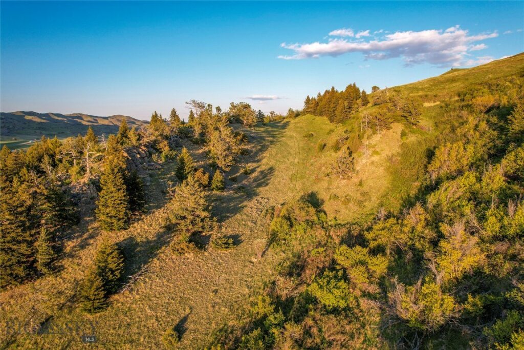 TBD US Highway 10 W, Livingston MT 59047