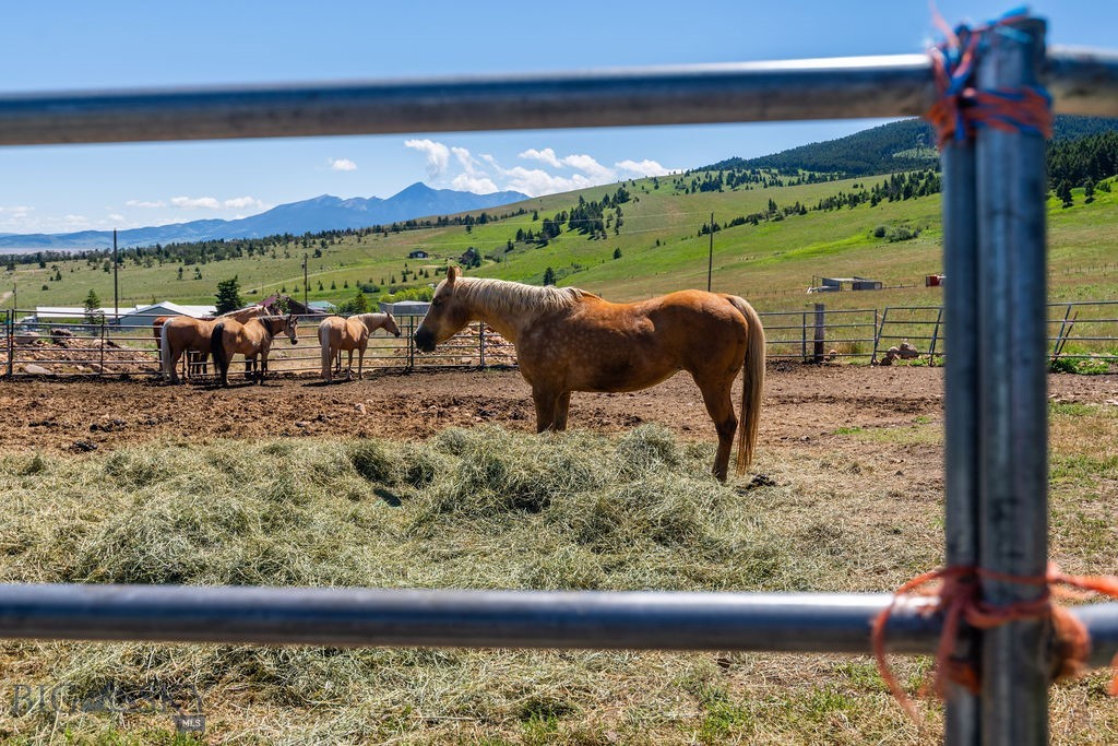 , Livingston MT 59047