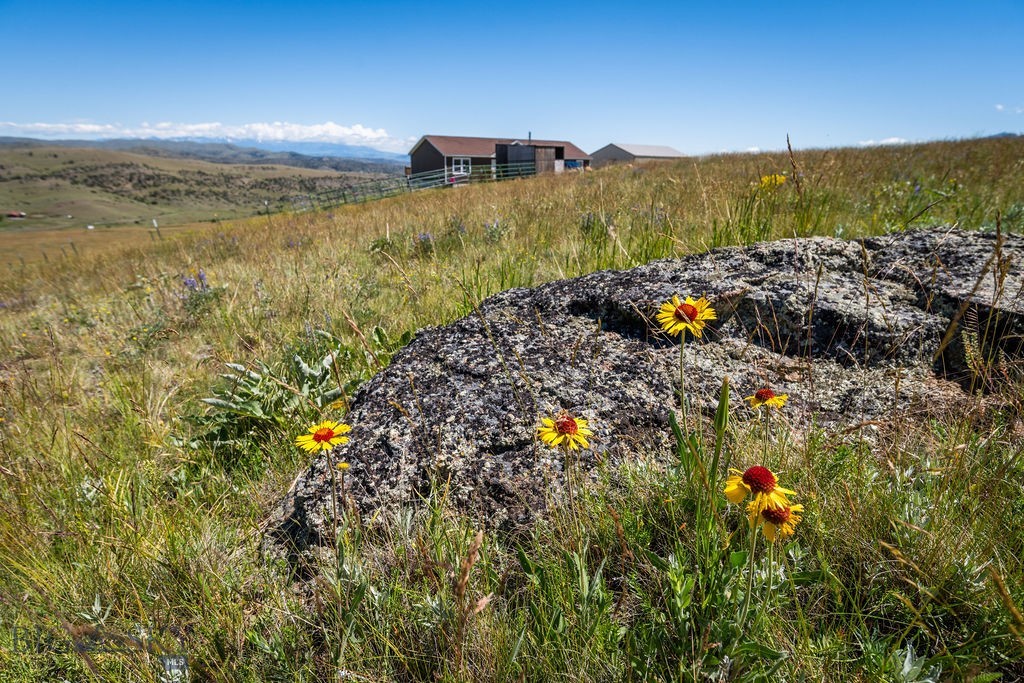 , Livingston MT 59047