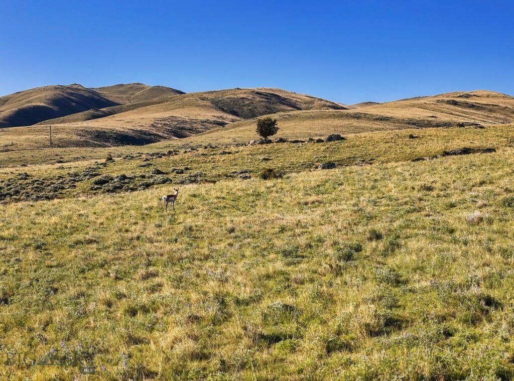 Lost Heart Ranch Ennis Lake Rd, McAllister MT 59740