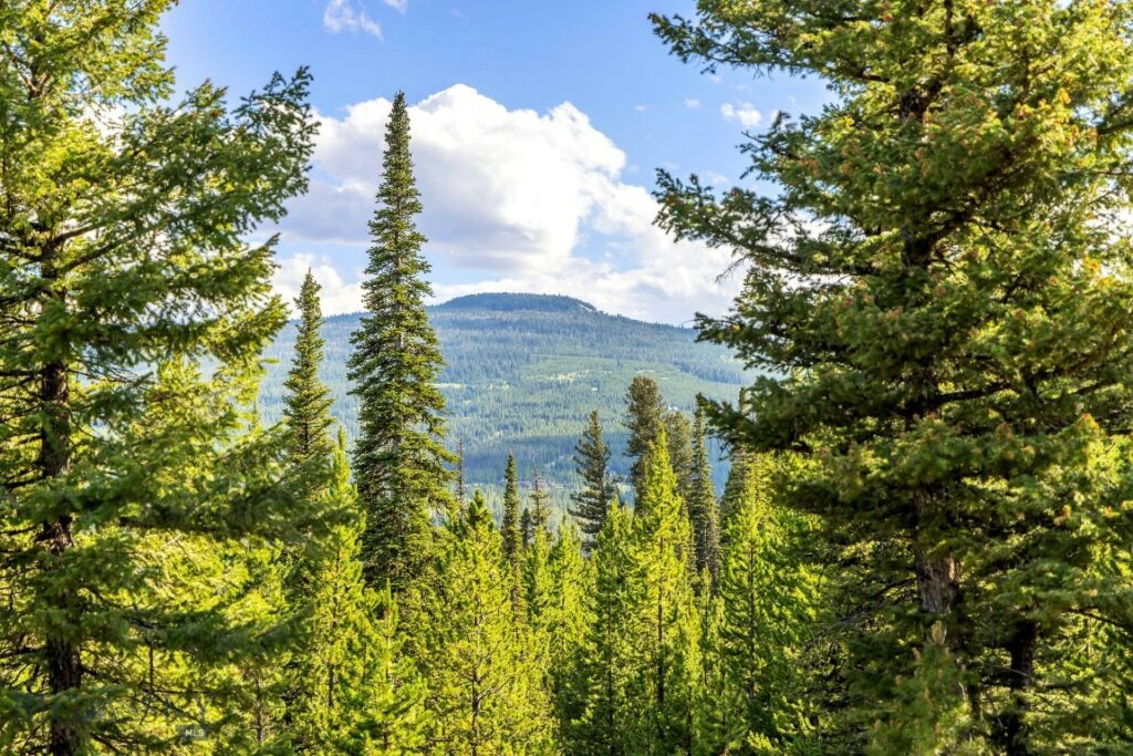 Lot 1 Wheatgrass Meadows, Big Sky MT 59716