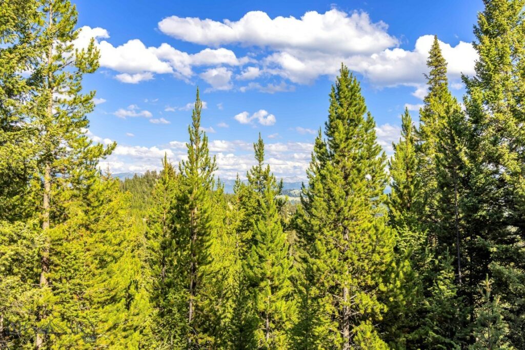 Lot 1 Wheatgrass Meadows, Big Sky MT 59716