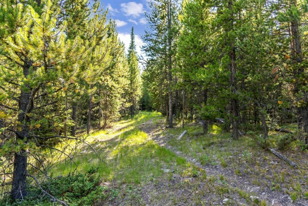 Lot 1 Wheatgrass Meadows, Big Sky MT 59716