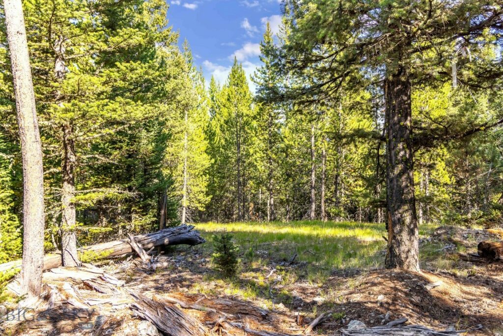 Lot 1 Wheatgrass Meadows, Big Sky MT 59716