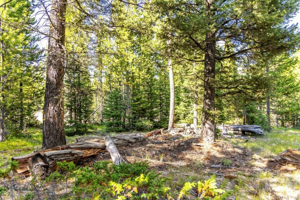 Lot 1 Wheatgrass Meadows, Big Sky MT 59716
