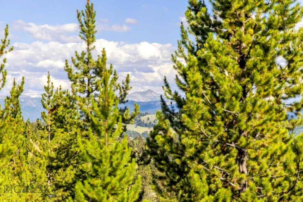 Lot 1 Wheatgrass Meadows, Big Sky MT 59716