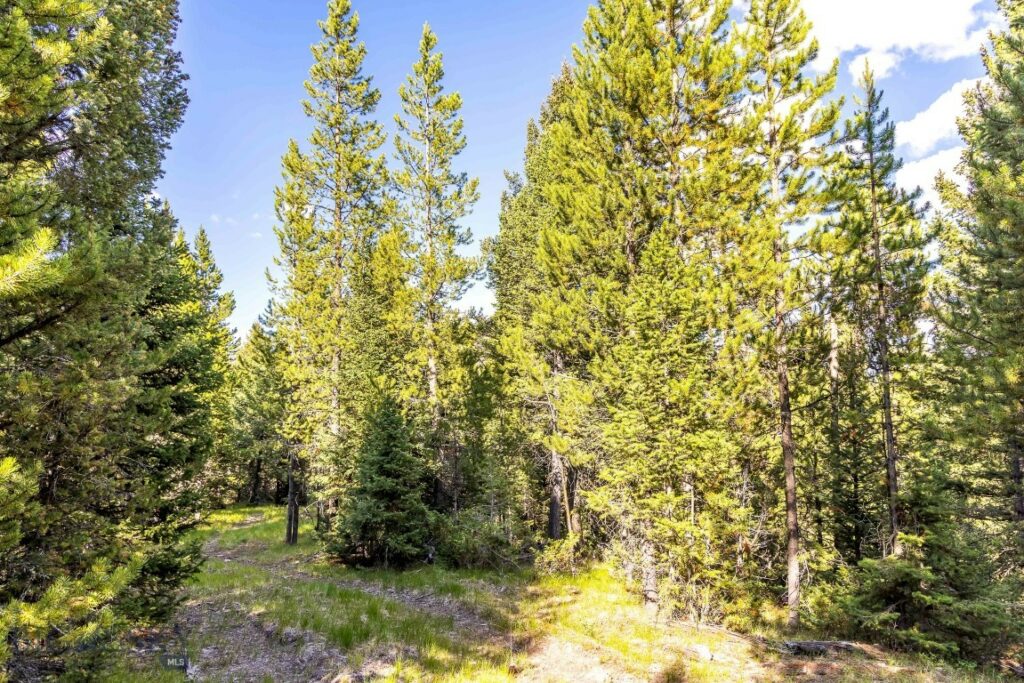 Lot 1 Wheatgrass Meadows, Big Sky MT 59716