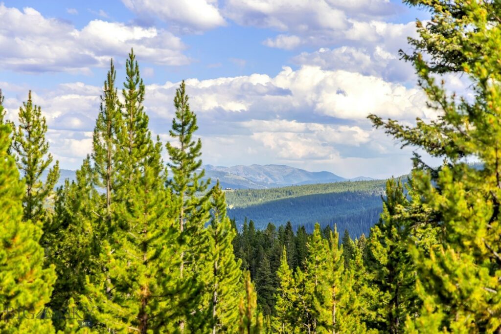 Lot 1 Wheatgrass Meadows, Big Sky MT 59716