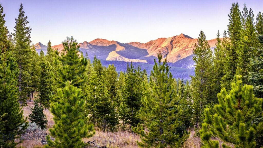 Lot 1 Wheatgrass Meadows, Big Sky MT 59716