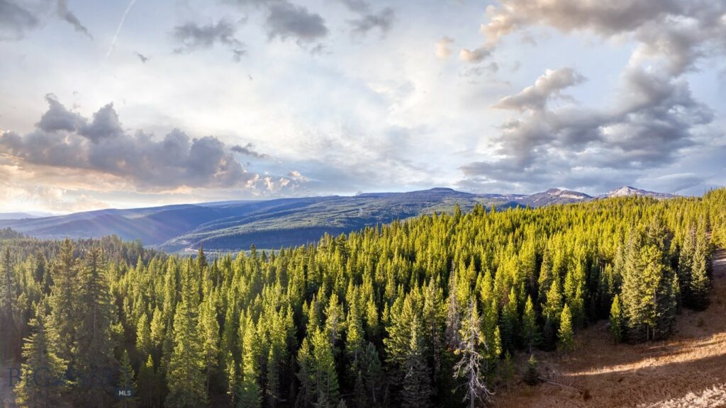 Lot 1 Wheatgrass Meadows, Big Sky MT 59716