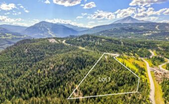 Lot 1 Wheatgrass Meadows, Big Sky MT 59716