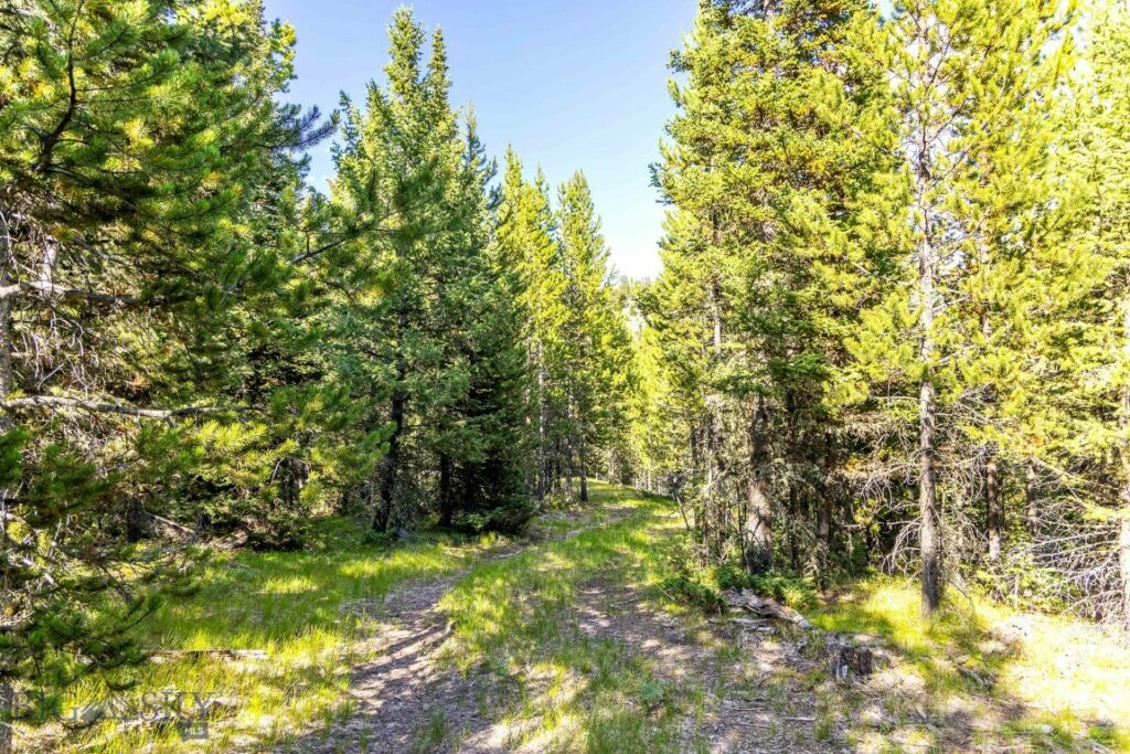 Lot 1 Wheatgrass Meadows, Big Sky MT 59716