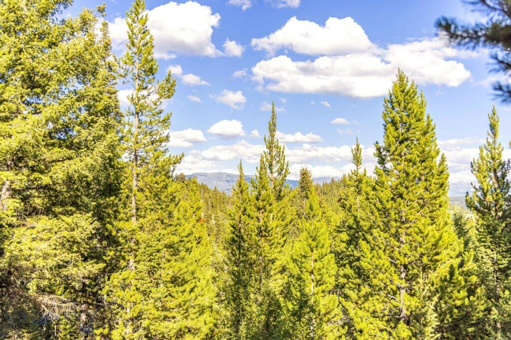 Lot 1 Wheatgrass Meadows, Big Sky MT 59716