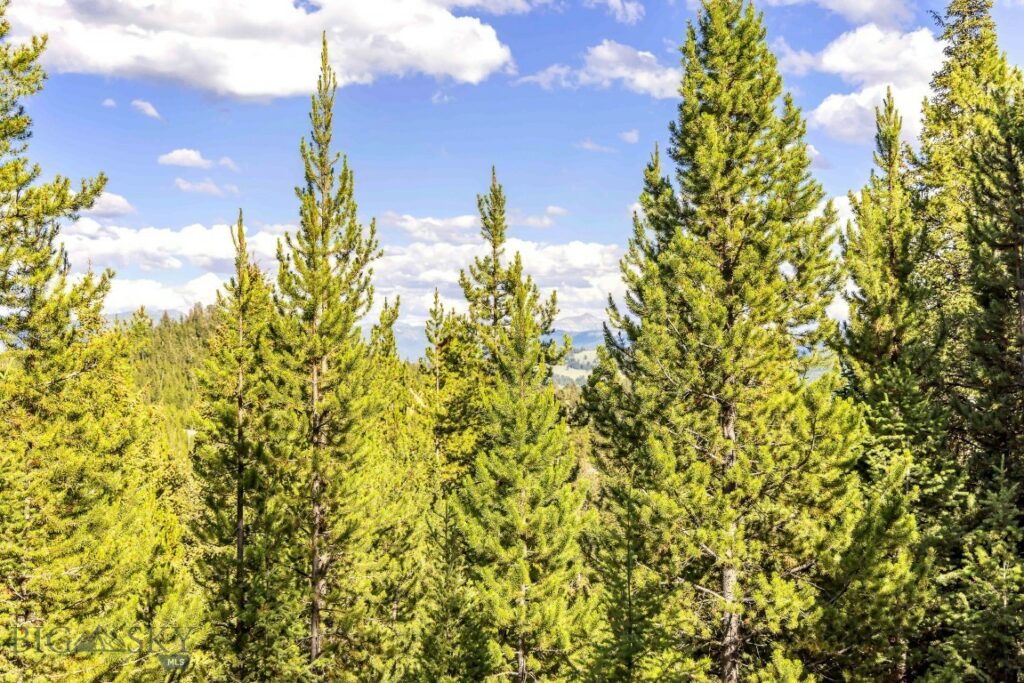 Lot 1 Wheatgrass Meadows, Big Sky MT 59716