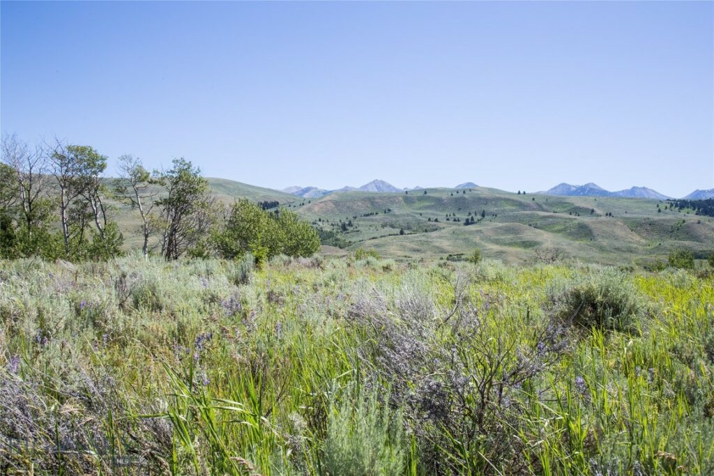 Lot 13 Sun West Ranch, Cameron MT 59720