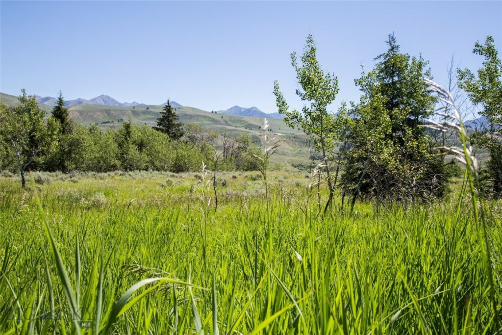 Lot 13 Sun West Ranch, Cameron MT 59720