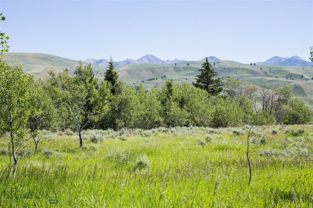 Lot 13 Sun West Ranch, Cameron MT 59720