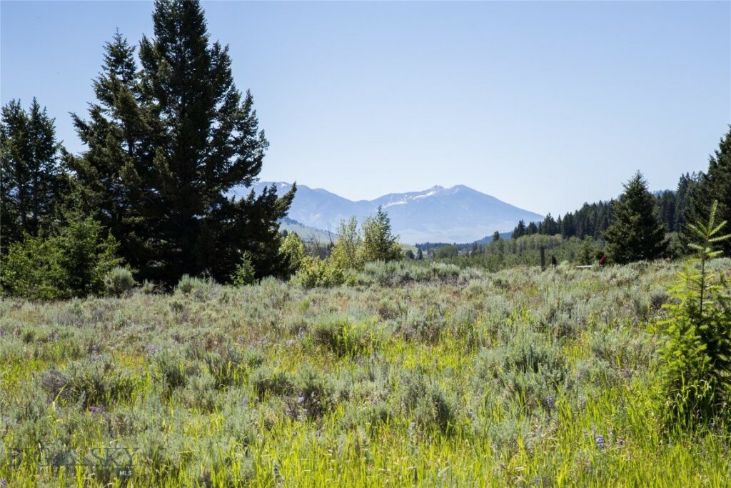 Lot 13 Sun West Ranch, Cameron MT 59720