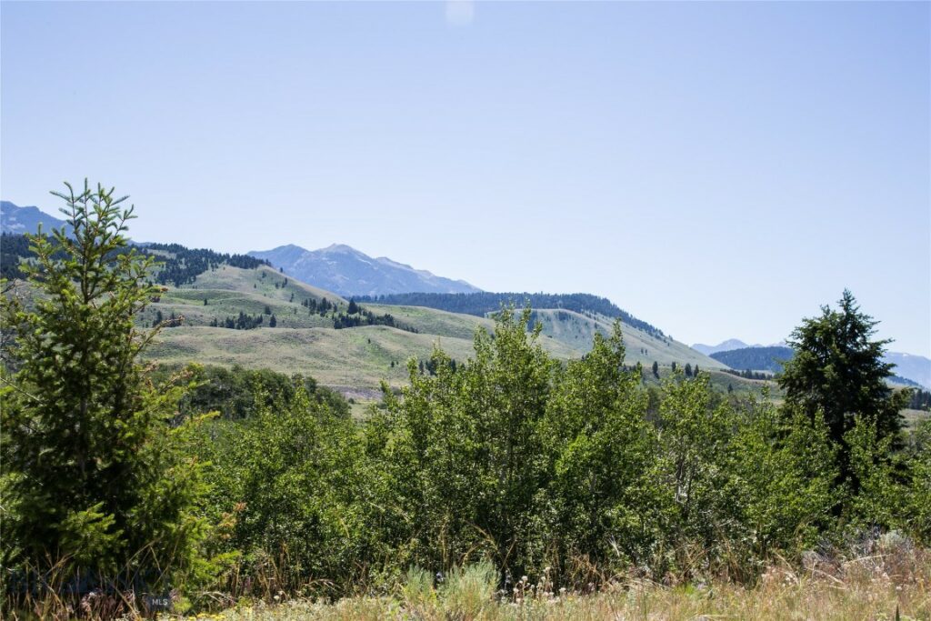 Lot 13 Sun West Ranch, Cameron MT 59720