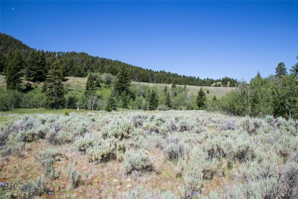 Lot 13 Sun West Ranch, Cameron MT 59720