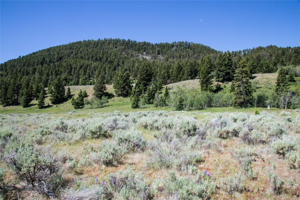 Lot 13 Sun West Ranch, Cameron MT 59720