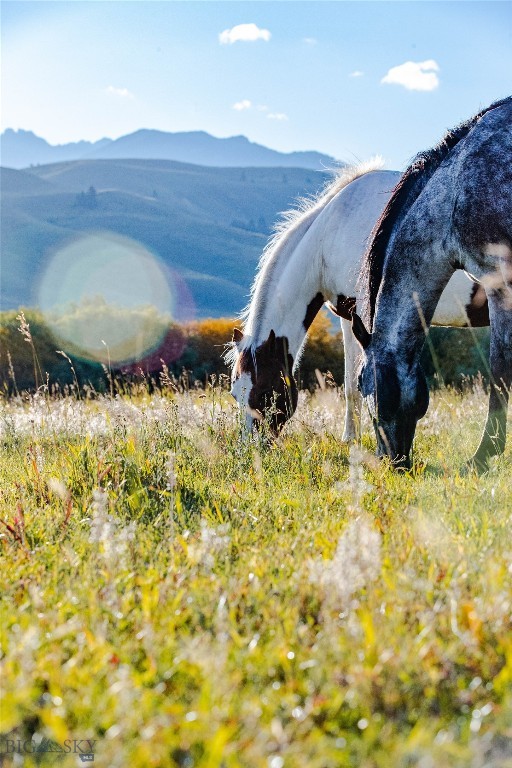 Lot 13 Sun West Ranch, Cameron MT 59720