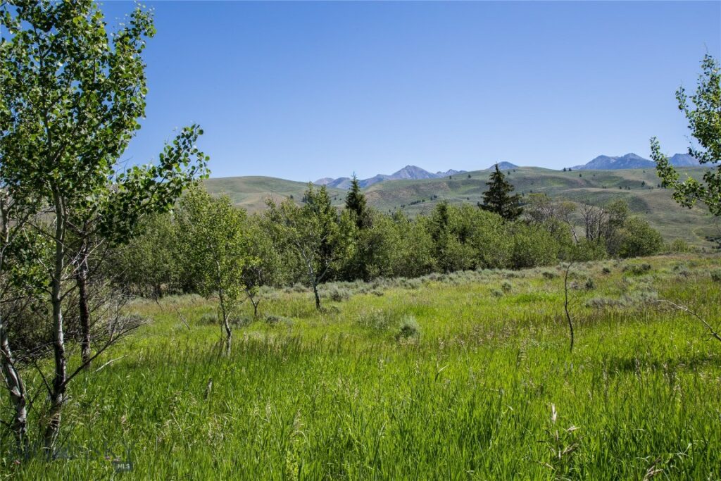 Lot 13 Sun West Ranch, Cameron MT 59720