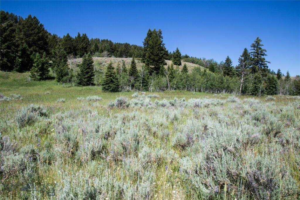 Lot 13 Sun West Ranch, Cameron MT 59720