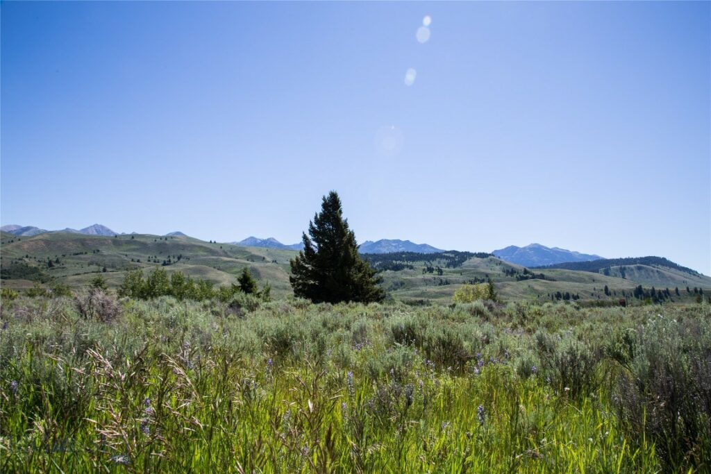 Lot 13 Sun West Ranch, Cameron MT 59720