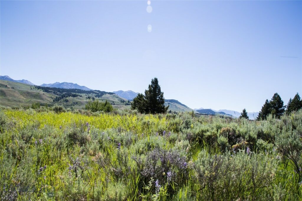 Lot 13 Sun West Ranch, Cameron MT 59720