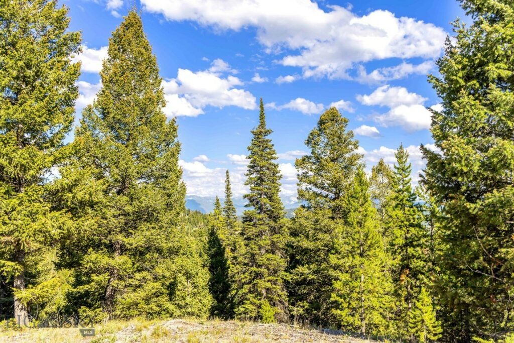 Lot 2 Wheatgrass Meadows, Big Sky MT 59716