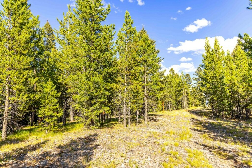 Lot 2 Wheatgrass Meadows, Big Sky MT 59716