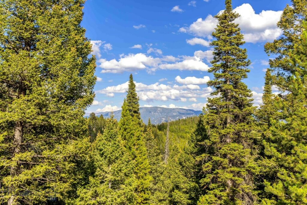 Lot 2 Wheatgrass Meadows, Big Sky MT 59716