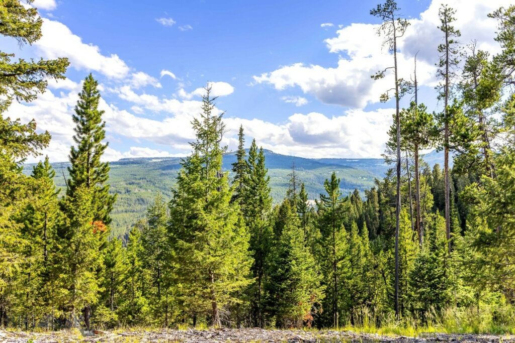 Lot 2 Wheatgrass Meadows, Big Sky MT 59716