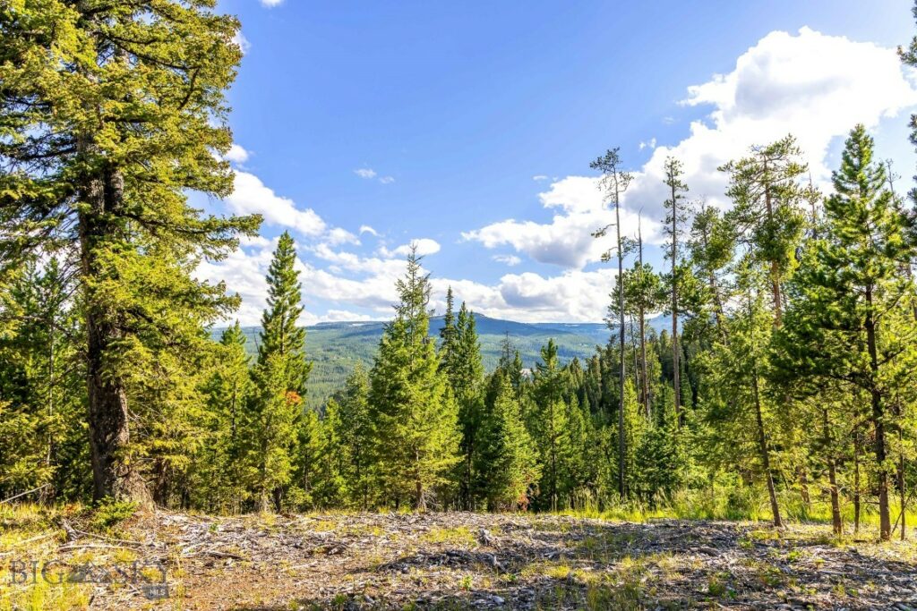 Lot 2 Wheatgrass Meadows, Big Sky MT 59716