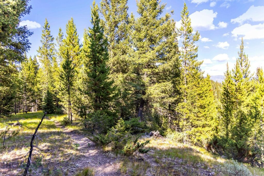 Lot 2 Wheatgrass Meadows, Big Sky MT 59716