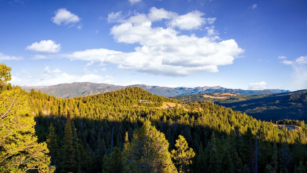 Lot 2 Wheatgrass Meadows, Big Sky MT 59716