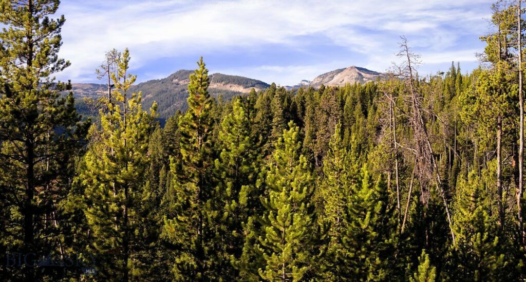 Lot 2 Wheatgrass Meadows, Big Sky MT 59716