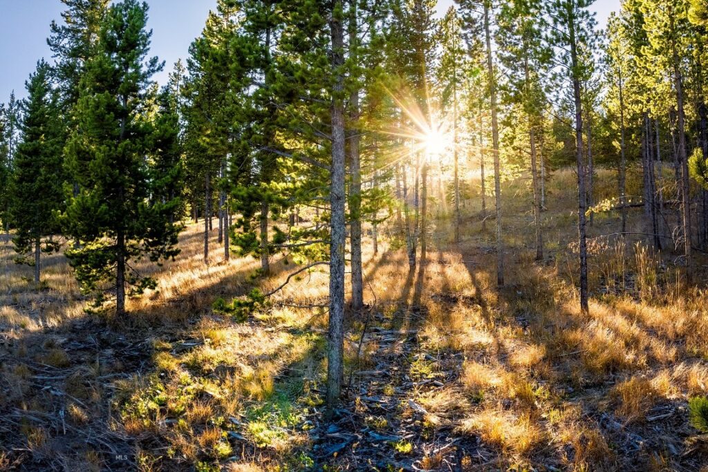 Lot 2 Wheatgrass Meadows, Big Sky MT 59716