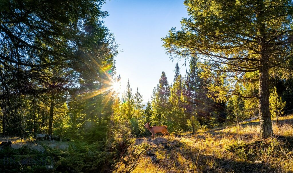 Lot 2 Wheatgrass Meadows, Big Sky MT 59716