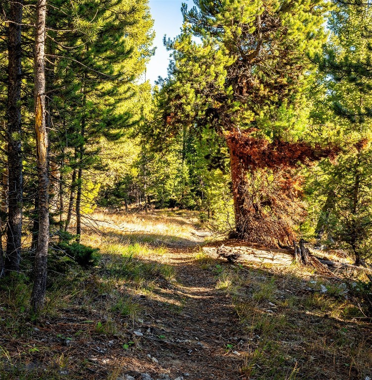 Lot 2 Wheatgrass Meadows, Big Sky MT 59716