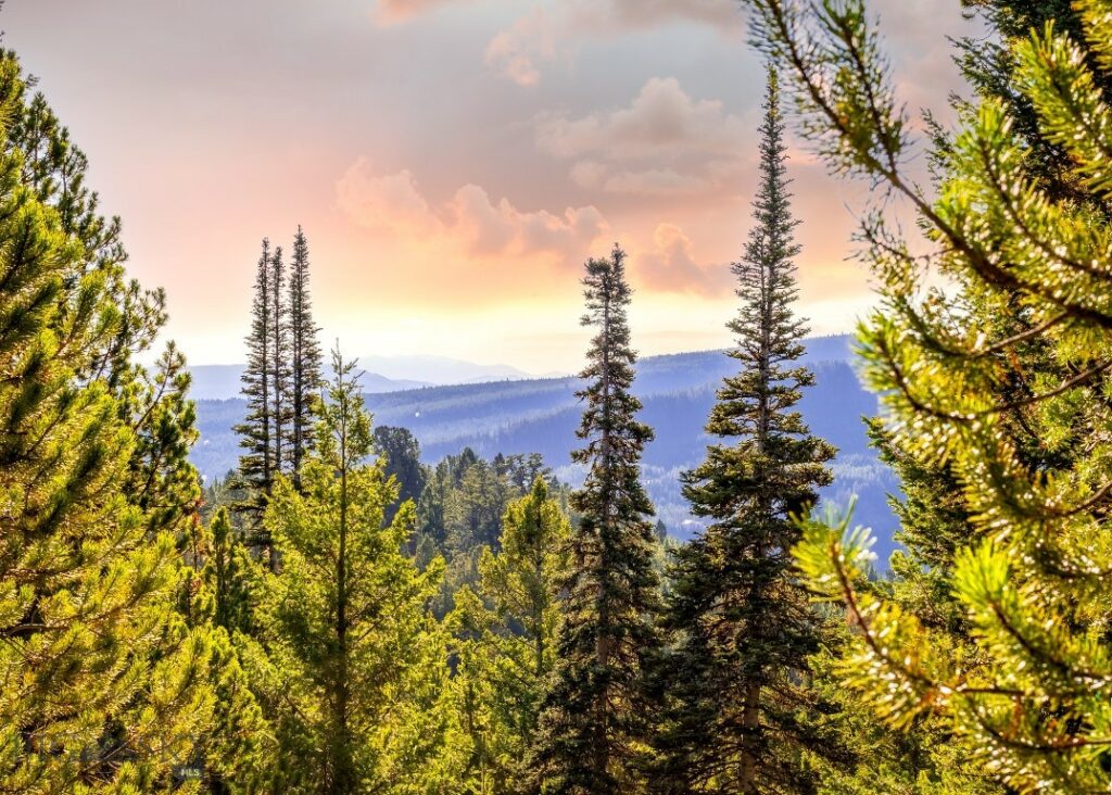 Lot 2 Wheatgrass Meadows, Big Sky MT 59716