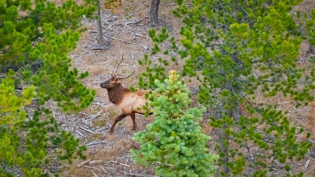 Lot 2 Wheatgrass Meadows, Big Sky MT 59716