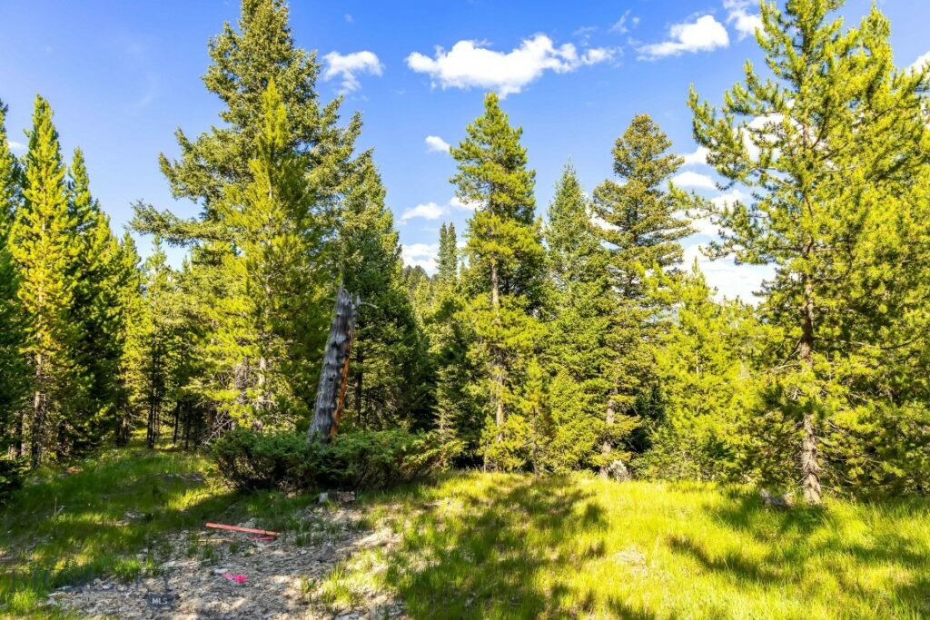 Lot 2 Wheatgrass Meadows, Big Sky MT 59716